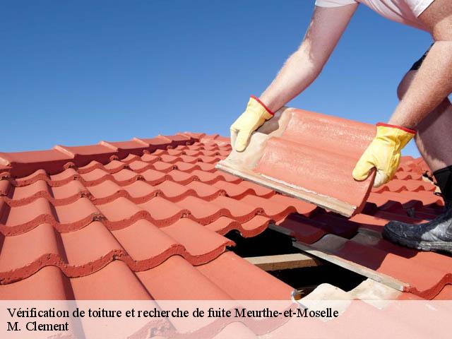Vérification de toiture et recherche de fuite 54 Meurthe-et-Moselle  M. Clement