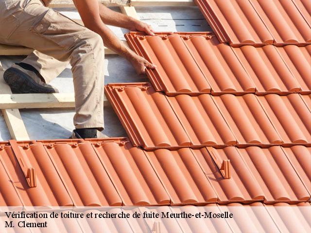 Vérification de toiture et recherche de fuite Meurthe-et-Moselle 