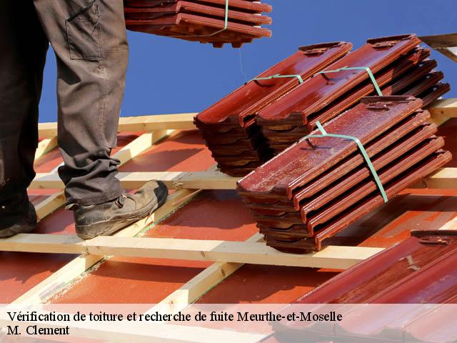 Vérification de toiture et recherche de fuite Meurthe-et-Moselle 