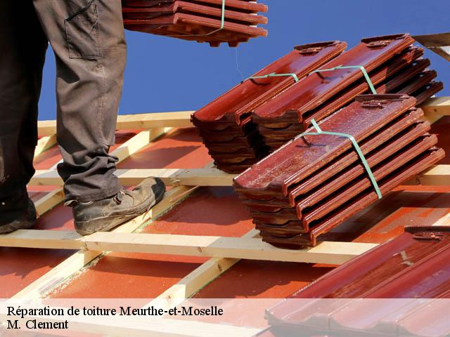 Réparation de toiture 54 Meurthe-et-Moselle  M. Clement