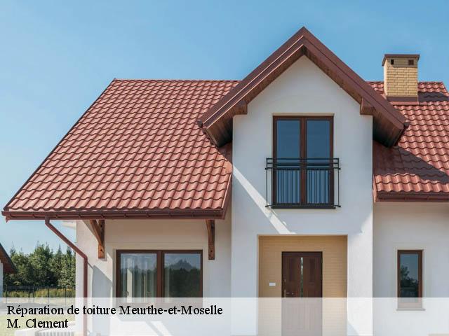 Réparation de toiture Meurthe-et-Moselle 