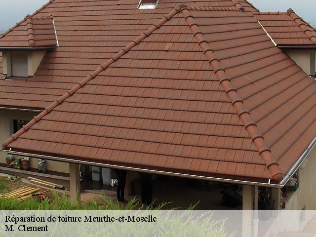 Réparation de toiture Meurthe-et-Moselle 