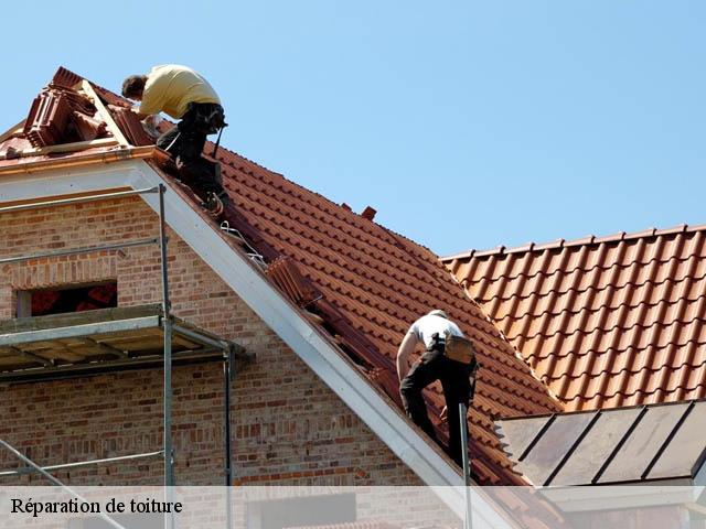 Réparation de toiture  54112