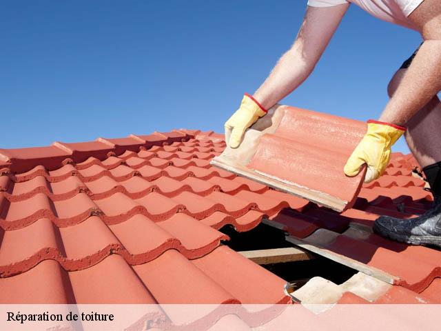 Réparation de toiture  54150