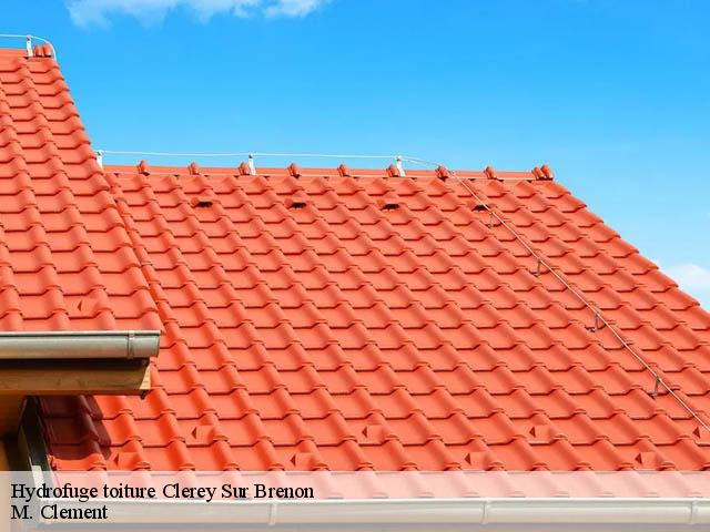 Hydrofuge toiture  clerey-sur-brenon-54330 M. Clement