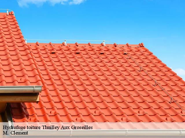 Hydrofuge toiture  thuilley-aux-groseilles-54170 M. Clement