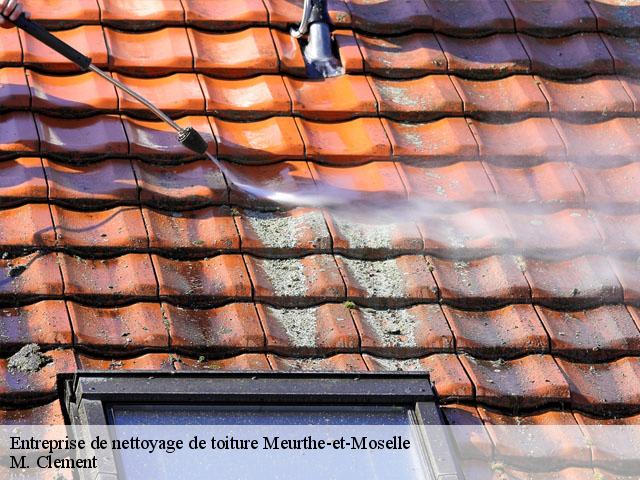 Entreprise de nettoyage de toiture Meurthe-et-Moselle 