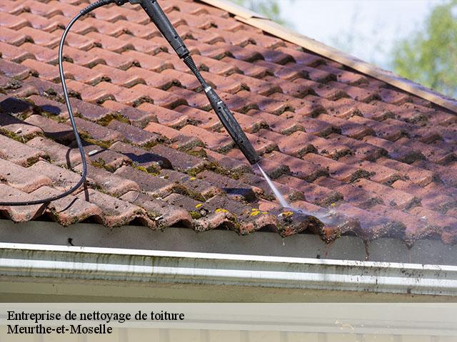 Entreprise de nettoyage de toiture Meurthe-et-Moselle 