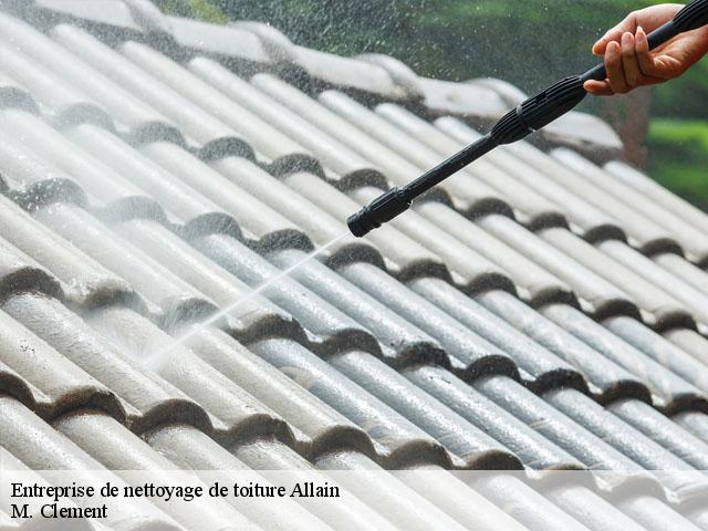 Entreprise de nettoyage de toiture  allain-54170 M. Clement