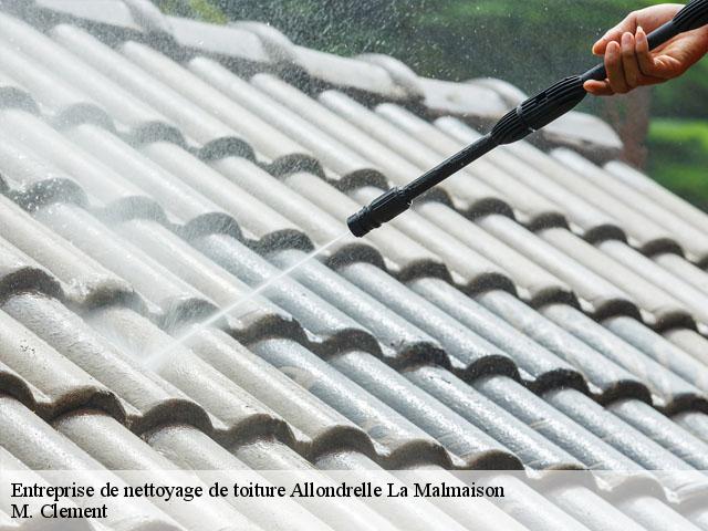 Entreprise de nettoyage de toiture  allondrelle-la-malmaison-54260 M. Clement