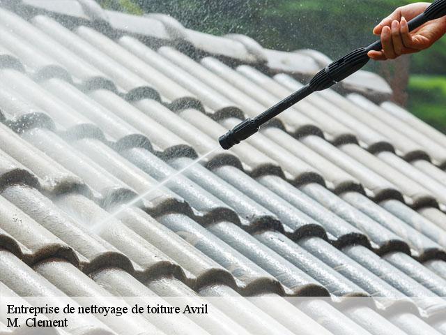 Entreprise de nettoyage de toiture  avril-54150 M. Clement