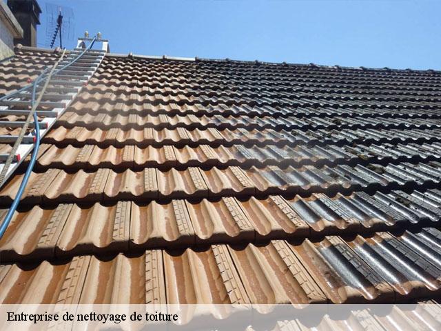 Entreprise de nettoyage de toiture  54114