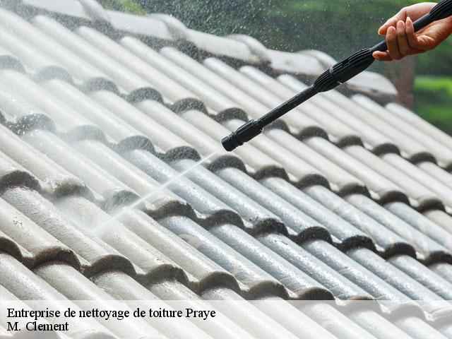 Entreprise de nettoyage de toiture  praye-54116 M. Clement