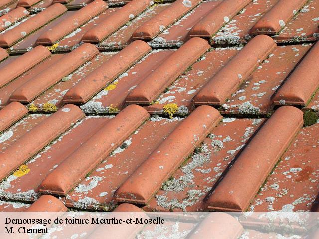 Demoussage de toiture 54 Meurthe-et-Moselle  M. Clement