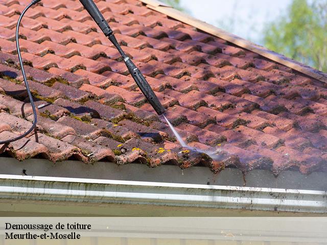 Demoussage de toiture Meurthe-et-Moselle 