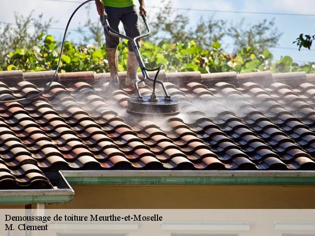 Demoussage de toiture Meurthe-et-Moselle 