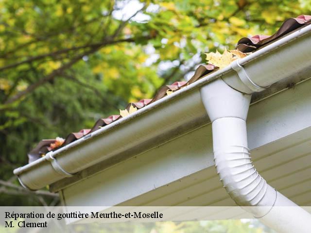Réparation de gouttière Meurthe-et-Moselle 