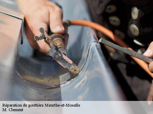 Réparation de gouttière Meurthe-et-Moselle 