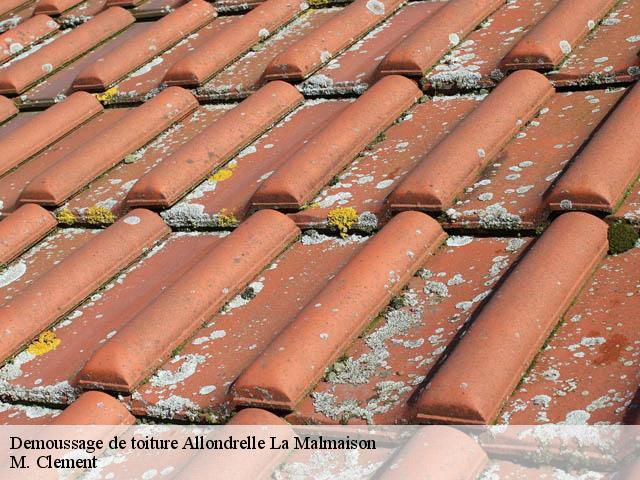 Demoussage de toiture  allondrelle-la-malmaison-54260 M. Clement