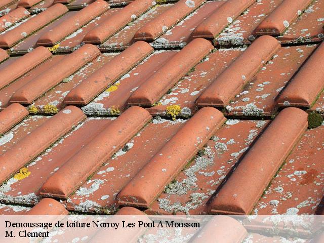 Demoussage de toiture  norroy-les-pont-a-mousson-54700 M. Clement