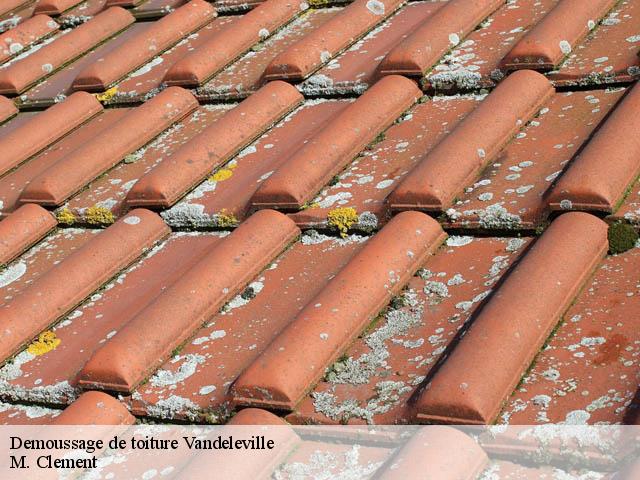 Demoussage de toiture  vandeleville-54115 M. Clement