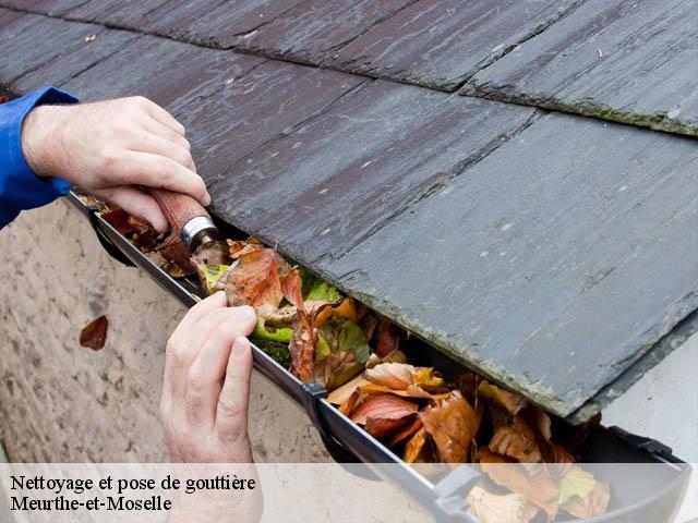 Nettoyage et pose de gouttière Meurthe-et-Moselle 