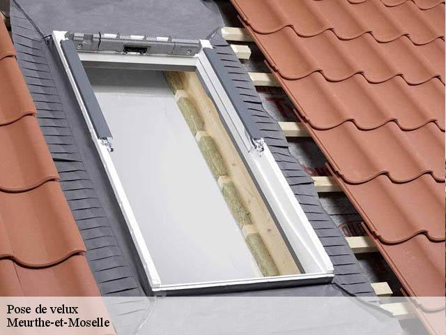 Pose de velux Meurthe-et-Moselle 