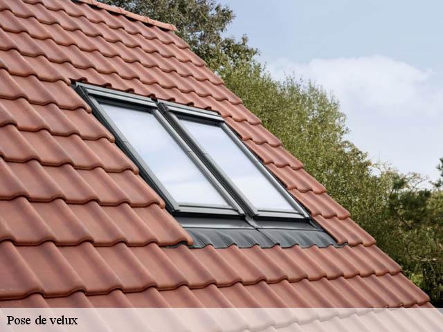 Pose de velux Meurthe-et-Moselle 