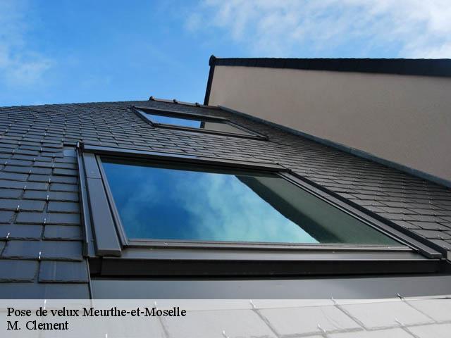 Pose de velux Meurthe-et-Moselle 