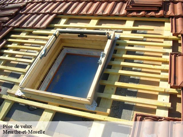 Pose de velux Meurthe-et-Moselle 