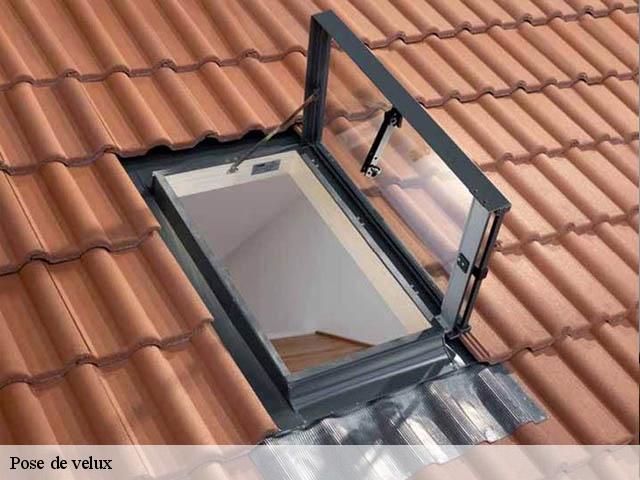 Pose de velux Meurthe-et-Moselle 