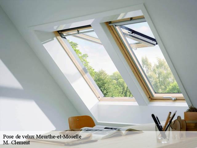 Pose de velux Meurthe-et-Moselle 