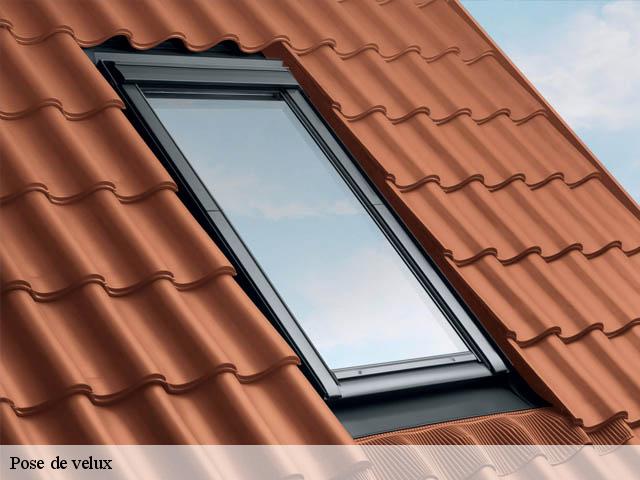 Pose de velux Meurthe-et-Moselle 