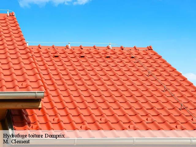 Hydrofuge toiture  domprix-54490 M. Clement