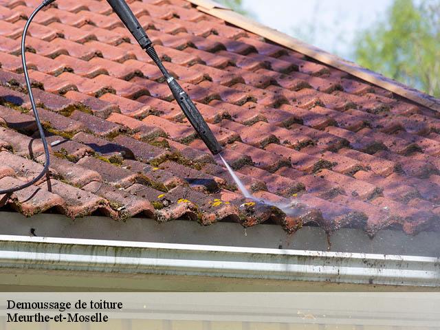 Demoussage de toiture Meurthe-et-Moselle 