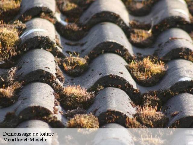 Demoussage de toiture Meurthe-et-Moselle 