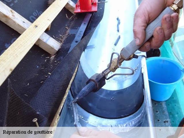 Réparation de gouttière  54300